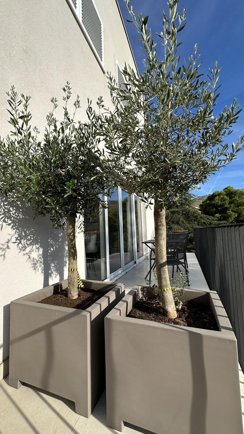 Arte Oliva Bed & Breakfast Grebastica Exterior photo
